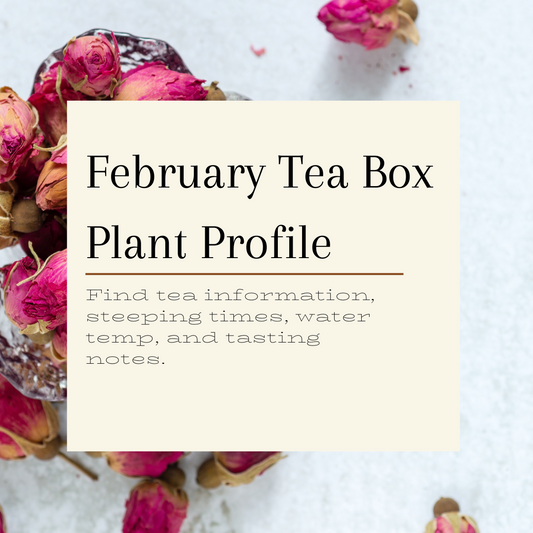February Custom Herbal Tea Box Plant Profile