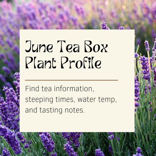 June Custom Herbal Tea Box Plant Profile