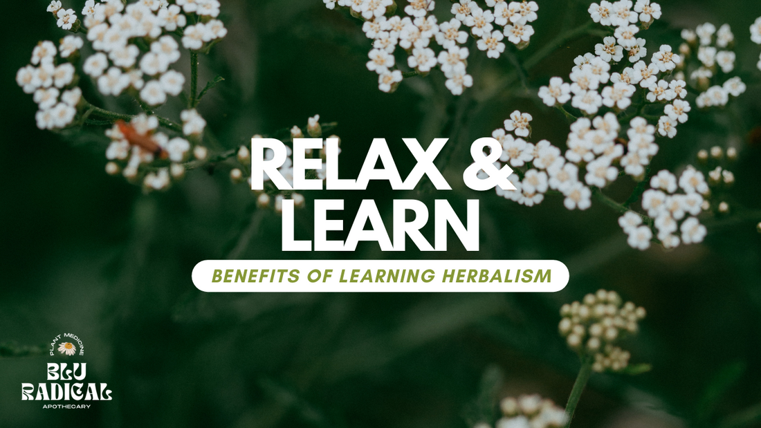 The Benefits Of Learning Herbalism
