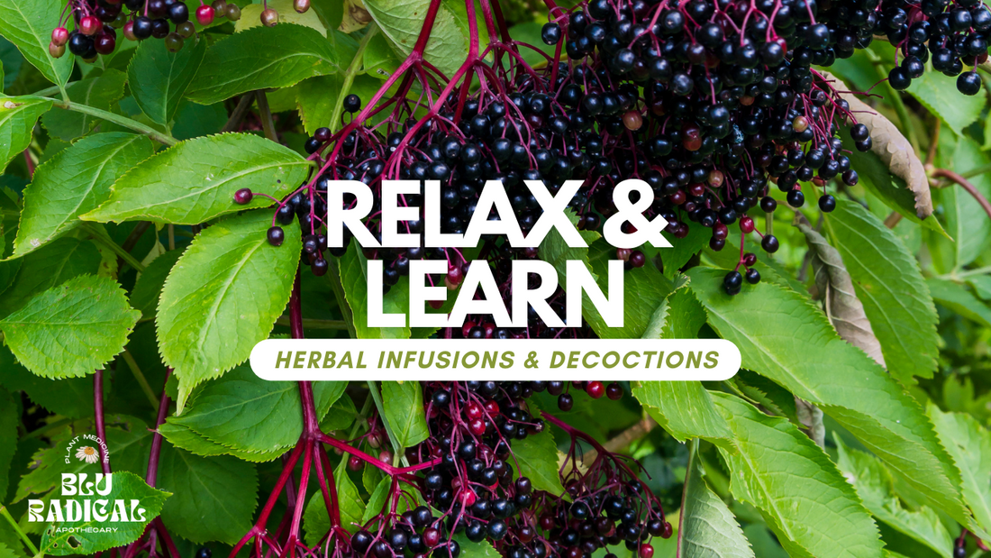 How To Make Herbal Infusions And Decoctions
