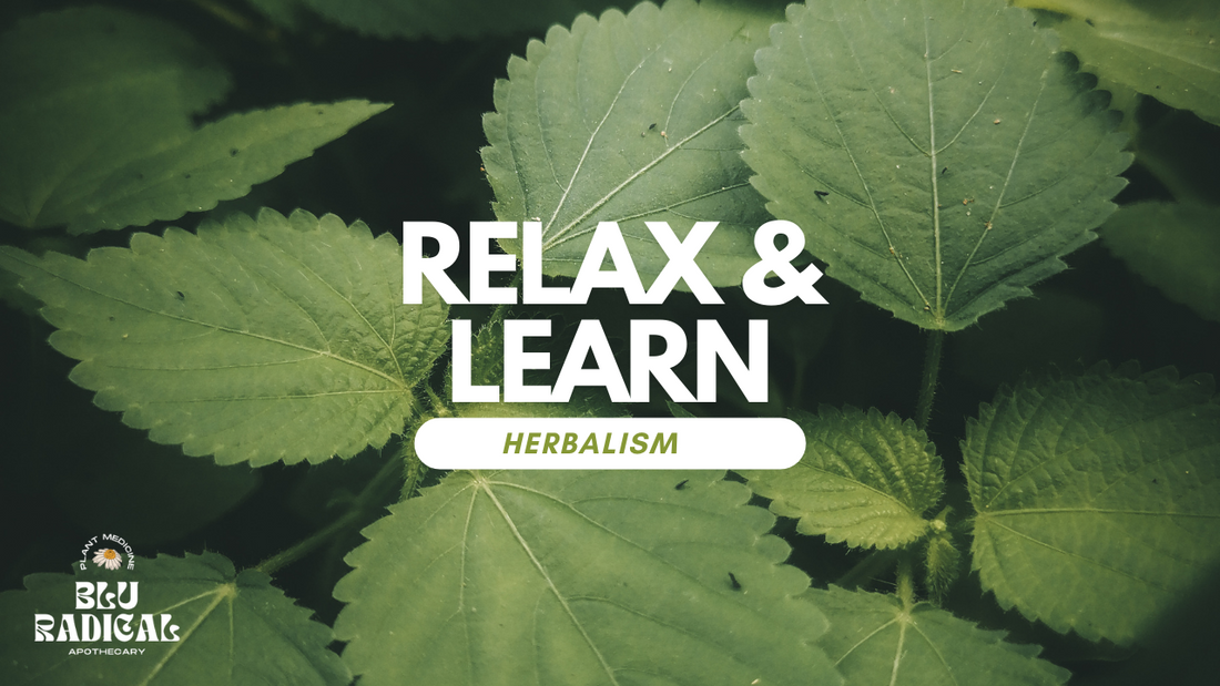 What is Herbalism and How To get Started For Free